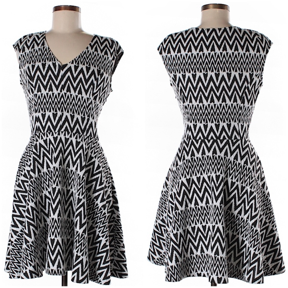 ⬇️ LAST CHANCE! Black & White | Fit & Flare